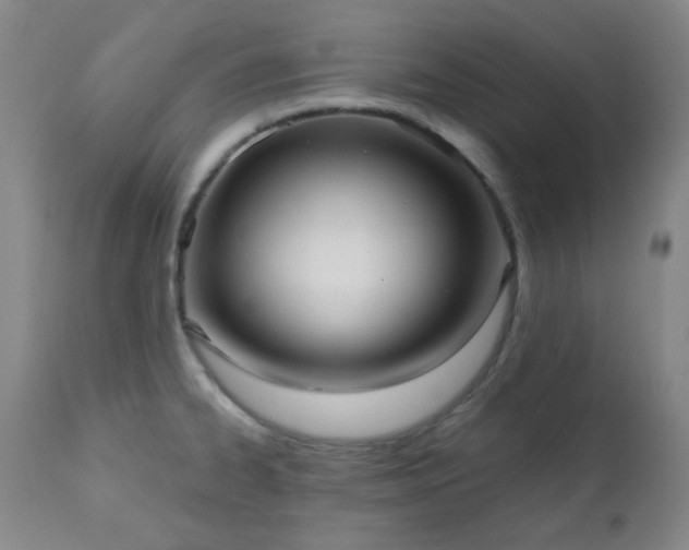 X0000111021334200906191643