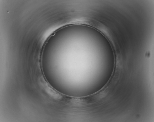 X0000111021336200906191643
