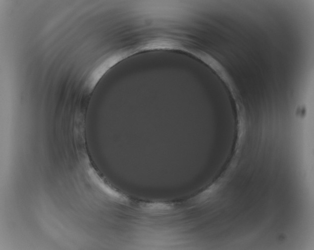 X0000111021337200906191643