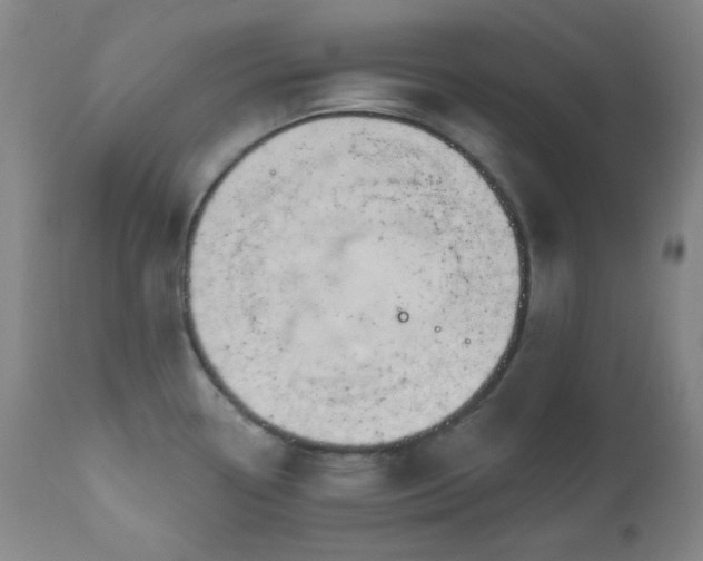 X0000111021338200906191643