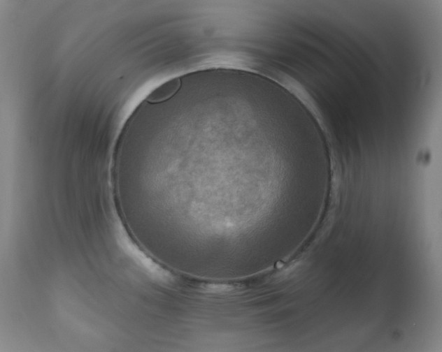 X0000111021339200906191643