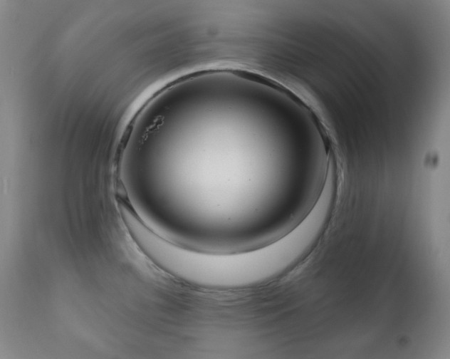 X0000111021340200906191643