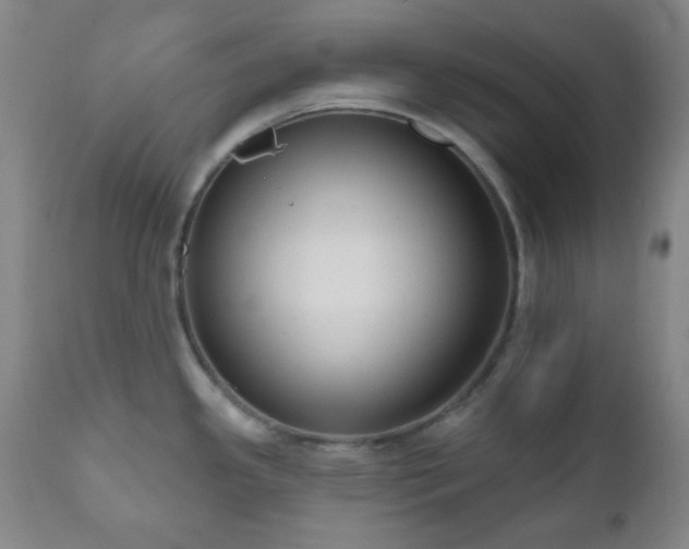 X0000111021341200906191643