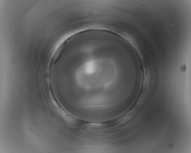 X0000111021342200906191643