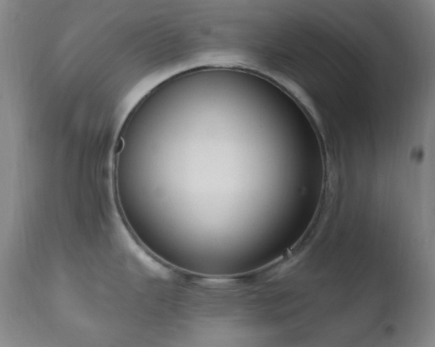 X0000111021343200906191643