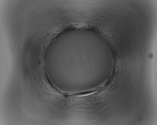 X0000111021345200906191643