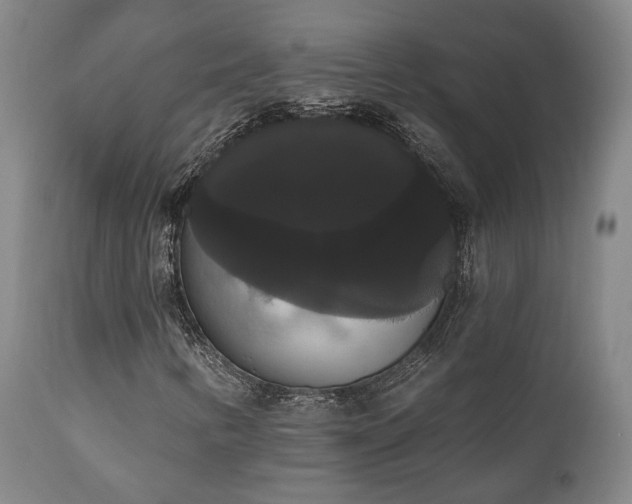 X0000111021346200906191642