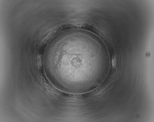X0000111021347200906191642