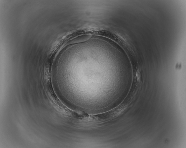X0000111021348200906191642