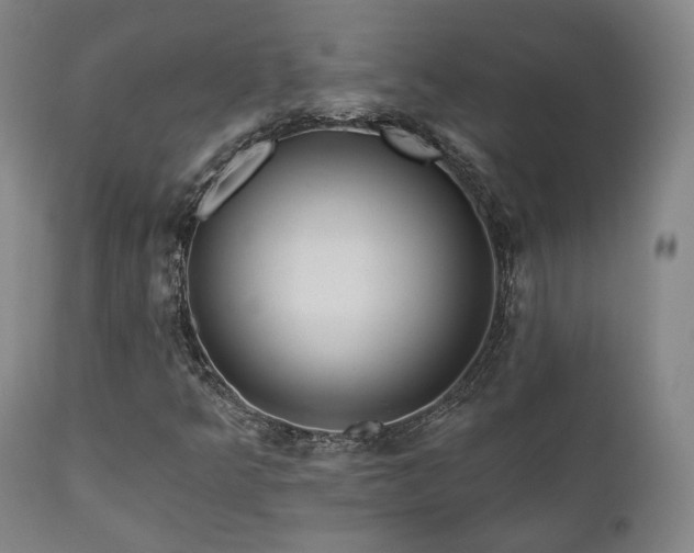 X0000111021349200906191642