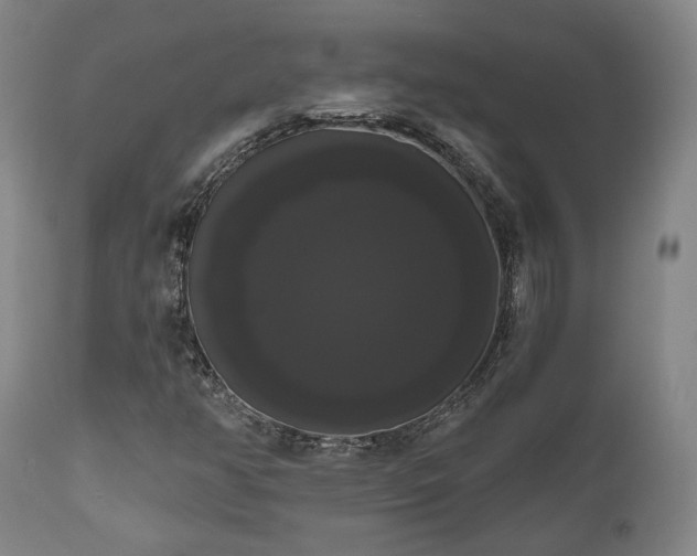 X0000111021350200906191642