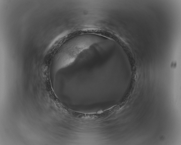 X0000111021351200906191642