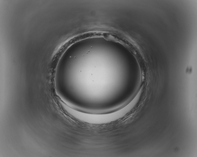 X0000111021352200906191642