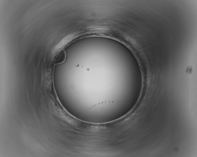 X0000111021354200906191642