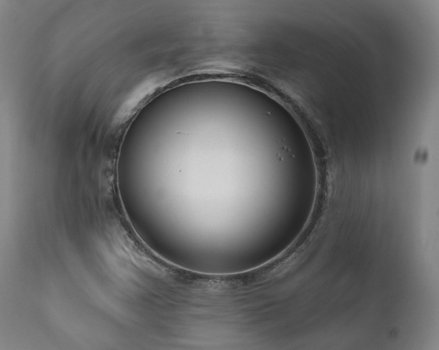 X0000111021355200906191642
