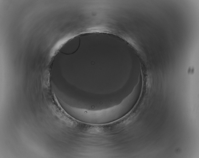 X0000111021358200906191642