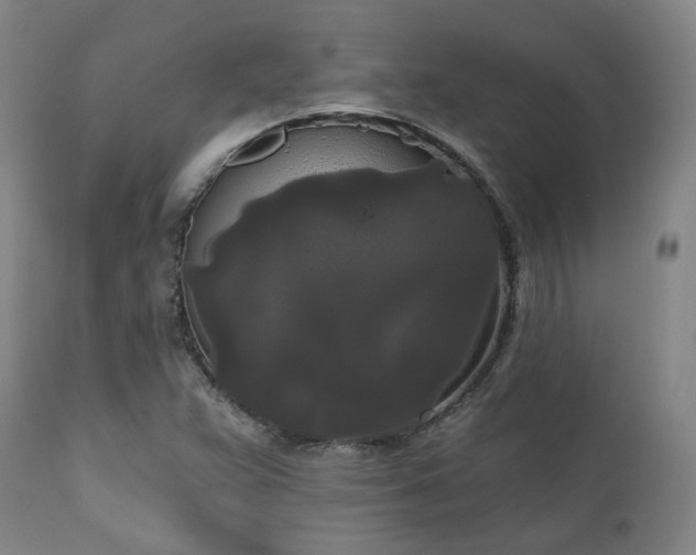 X0000111021359200906191642