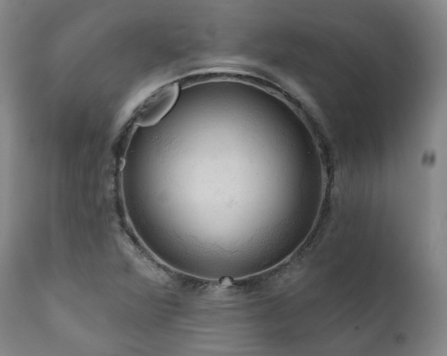 X0000111021360200906191642