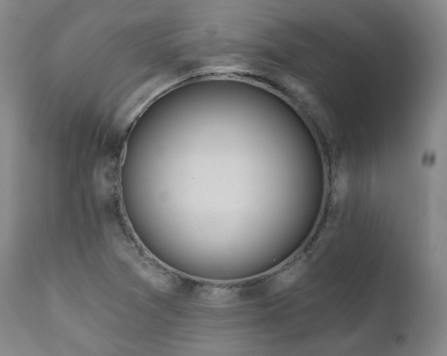 X0000111021361200906191642
