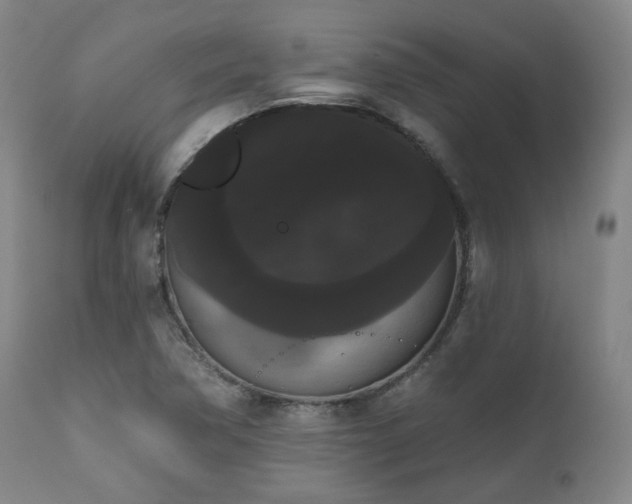 X0000111021362200906191642