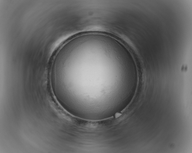 X0000111021364200906191642