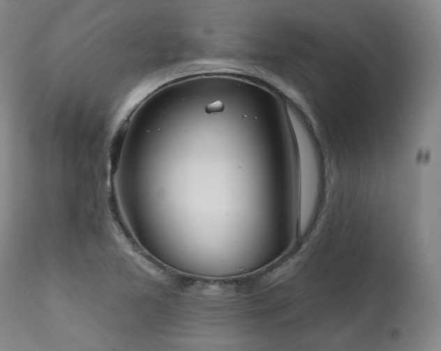 X0000111021365200906191642
