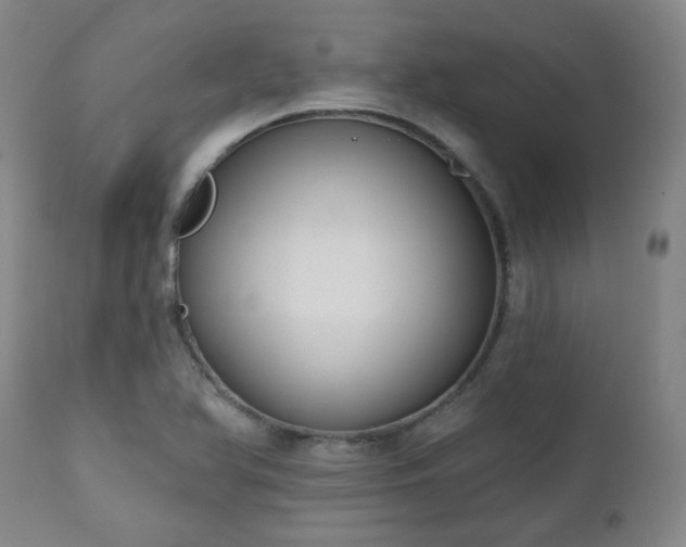 X0000111021366200906191642