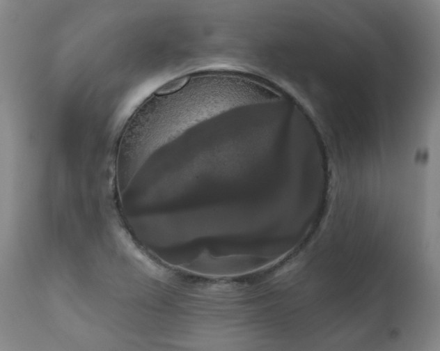 X0000111021367200906191642