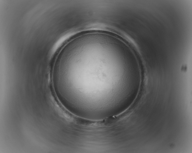 X0000111021368200906191642