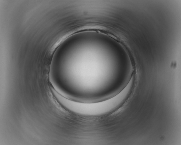 X0000111021369200906191642