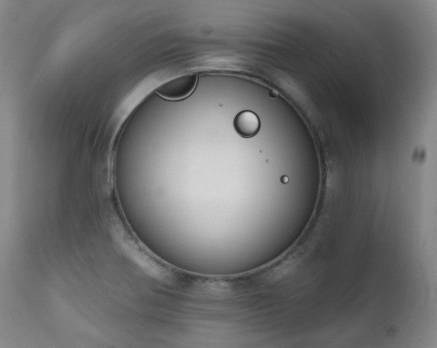 X0000111021370200906191642