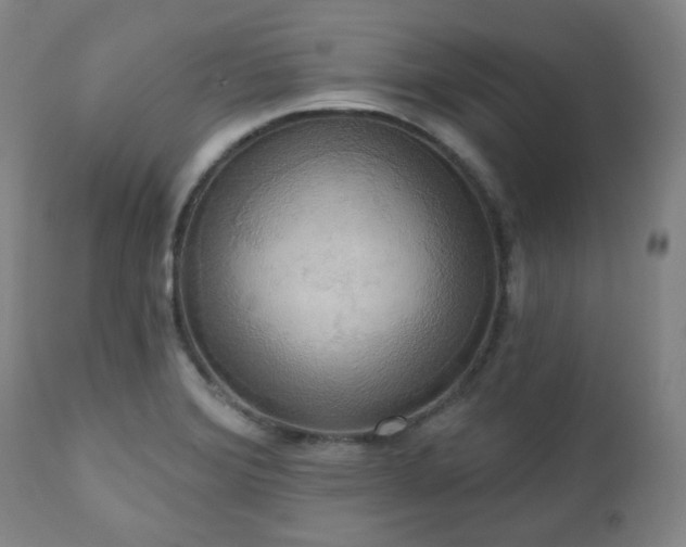 X0000111021372200906191642