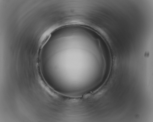 X0000111021373200906191642