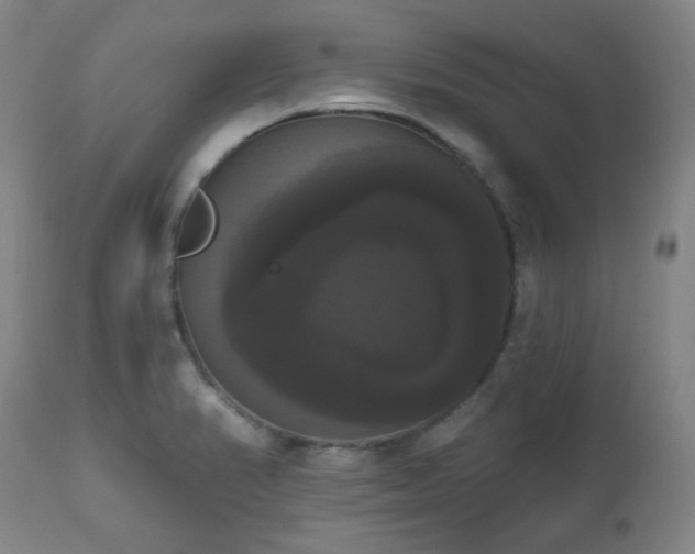 X0000111021374200906191642
