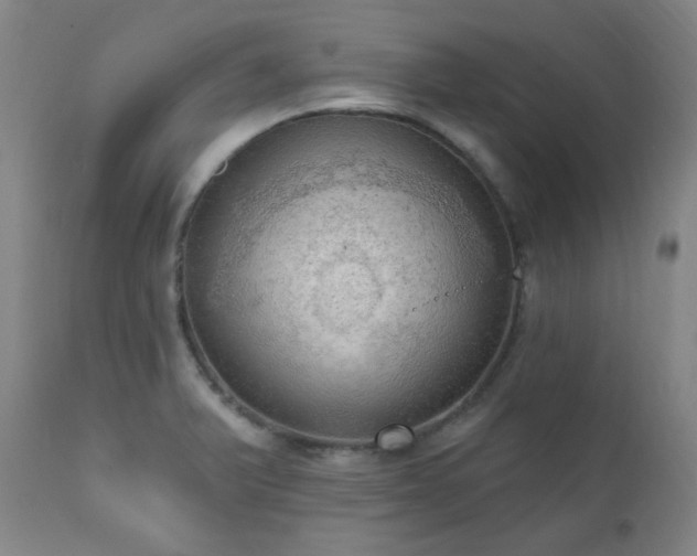 X0000111021375200906191642