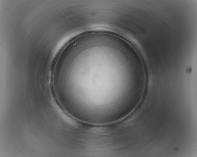 X0000111021376200906191642