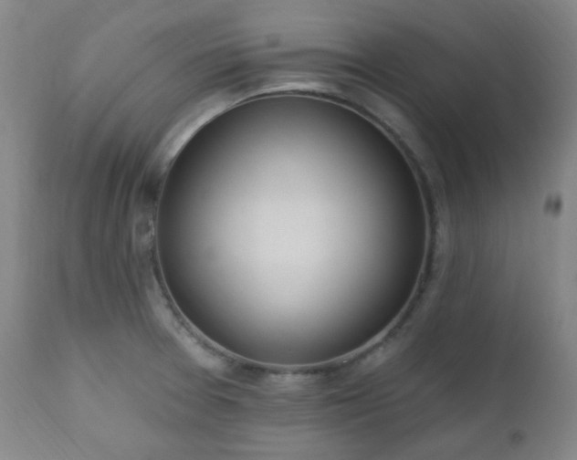 X0000111021377200906191642