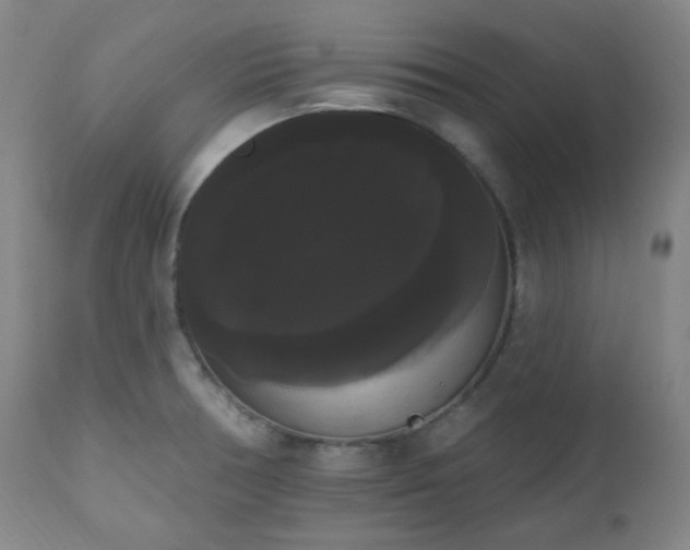 X0000111021378200906191642