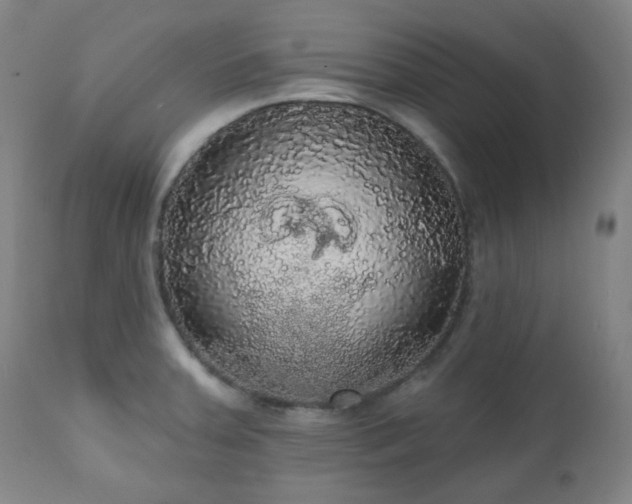 X0000111021379200906191642