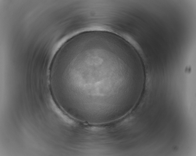 X0000111021380200906191642