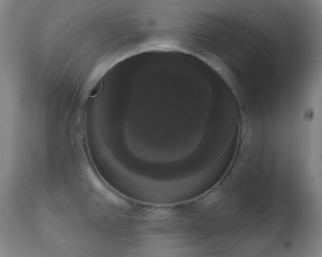 X0000111021382200906191642