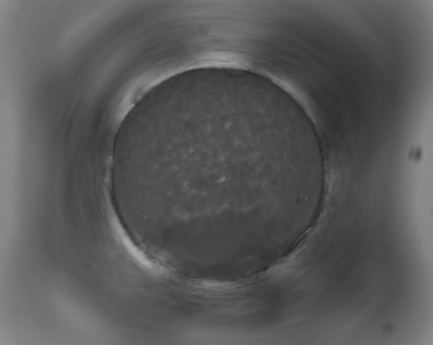 X0000111021383200906191642