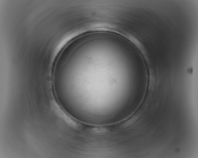 X0000111021384200906191642