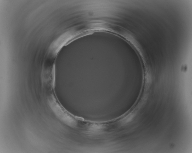 X0000111021385200906191642