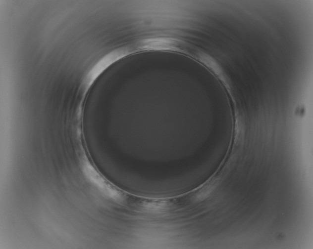 X0000111021386200906191642