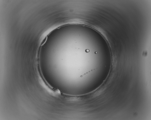 X0000111021387200906191642