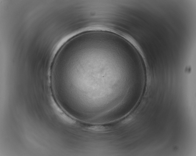 X0000111021388200906191642
