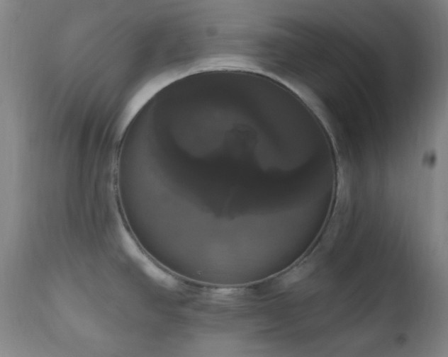 X0000111021390200906191642