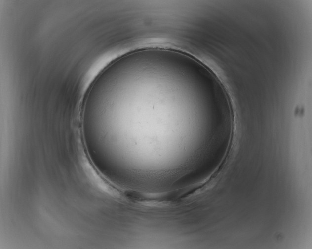 X0000111021392200906191642
