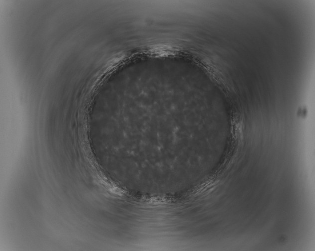X0000111021393200906191641